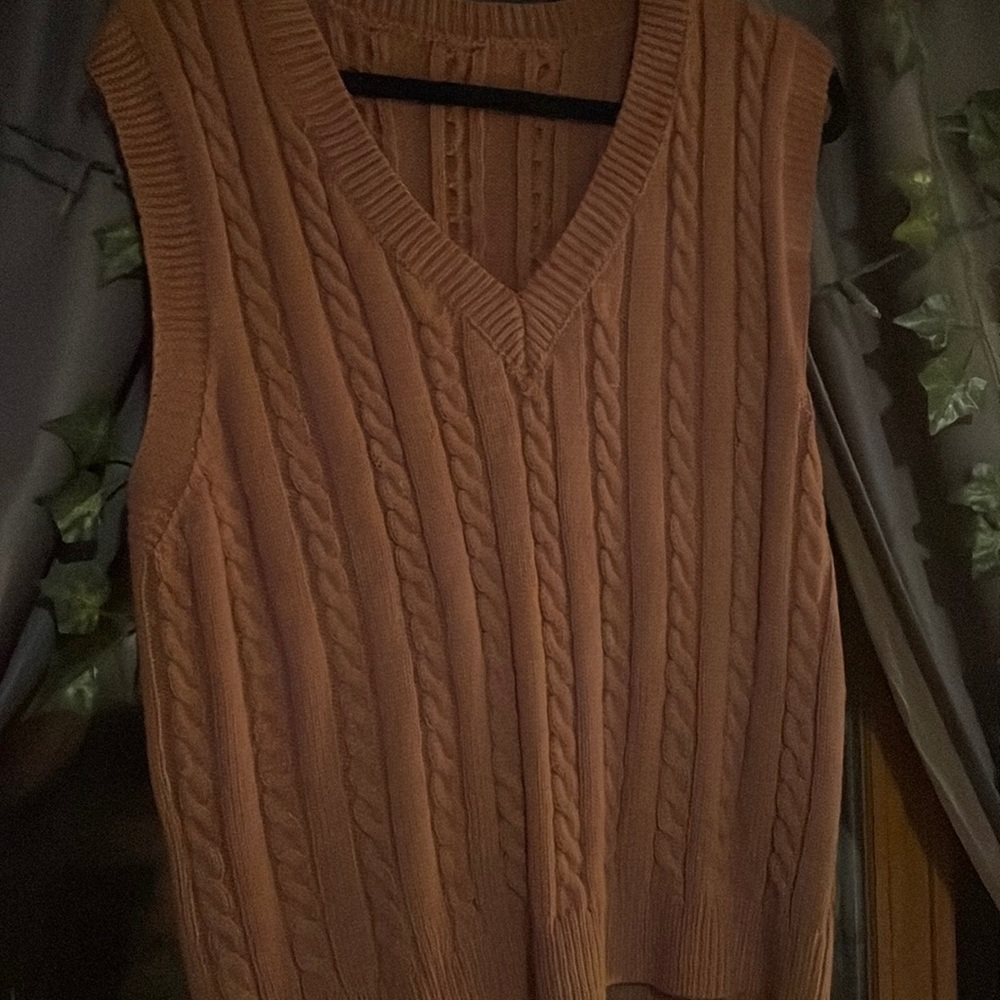 Brown sweater vest